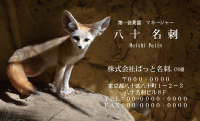 テンプレート名刺【animal photo-d028-zdk】