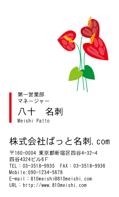 テンプレート名刺【plant-d066-zy-04】