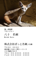 テンプレート名刺【animal photo-d028-zdk】