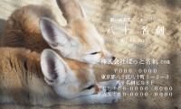 テンプレート名刺【animal photo-d030-zdk】