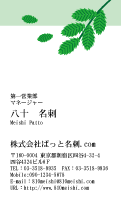 テンプレート名刺【plant-d137-zy-04】