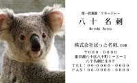 テンプレート名刺【animal photo-d040-zdk】