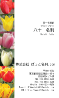 テンプレート名刺【plant-tulip photo-d006-zyz】