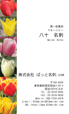 テンプレート名刺【plant-tulip photo-d006-zyz】