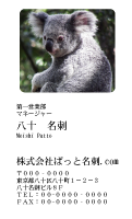 テンプレート名刺【animal photo-d044-zdk】