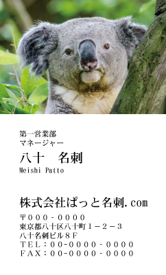 テンプレート名刺【animal photo-d046-zdk】