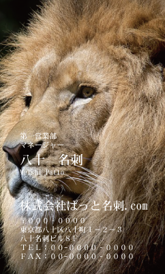 テンプレート名刺【animal photo-d048-zdk】