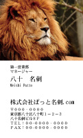 テンプレート名刺【animal photo-d050-zdk】