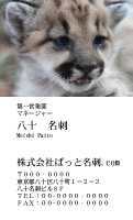 テンプレート名刺【animal photo-d055-zdk】