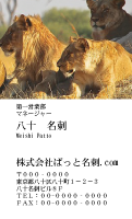 テンプレート名刺【animal photo-d056-zdk】