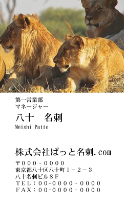 テンプレート名刺【animal photo-d056-zdk】