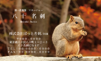 テンプレート名刺【animal photo-d057-zdk】