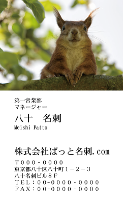 テンプレート名刺【animal photo-d058-zdk】