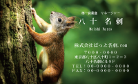 テンプレート名刺【animal photo-d059-zdk】