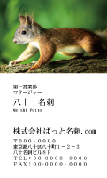 テンプレート名刺【animal photo-d059-zdk】