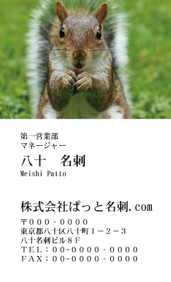 テンプレート名刺【animal photo-d061-zdk】