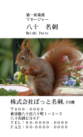 テンプレート名刺【animal photo-d062-zdk】