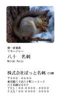 テンプレート名刺【animal photo-d063-zdk】