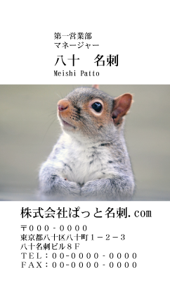 テンプレート名刺【animal photo-d064-zdk】