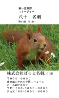 テンプレート名刺【animal photo-d065-zdk】