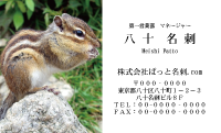 テンプレート名刺【animal photo-d067-zdk】