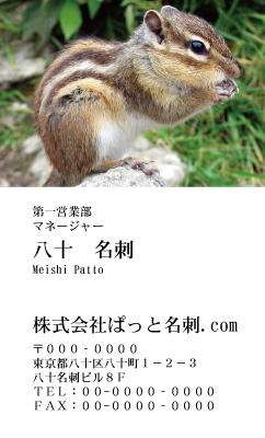 テンプレート名刺【animal photo-d067-zdk】