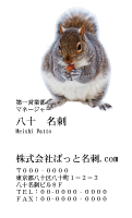 テンプレート名刺【animal photo-d068-zdk】