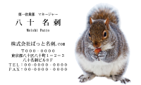 テンプレート名刺【animal photo-d068-zdk】