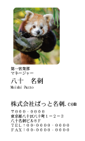 テンプレート名刺【animal photo-d069-zdk】