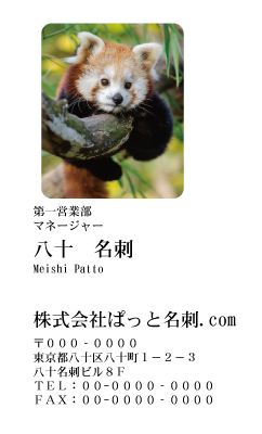 テンプレート名刺【animal photo-d069-zdk】