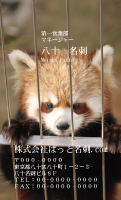 テンプレート名刺【animal photo-d071-zdk】