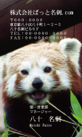 テンプレート名刺【animal photo-d072-zdk】