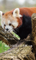 テンプレート名刺【animal photo-d074-zdk】
