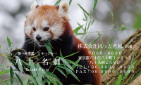 テンプレート名刺【animal photo-d075-zdk】