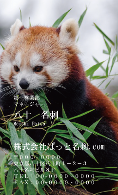 テンプレート名刺【animal photo-d075-zdk】