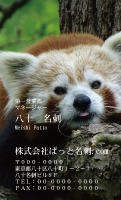 テンプレート名刺【animal photo-d077-zdk】