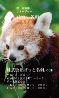 テンプレート名刺【animal photo-d078-zdk】