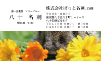 テンプレート名刺【animal photo-d083-zdk】