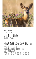 テンプレート名刺【animal photo-d084-zdk】