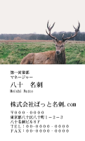 テンプレート名刺【animal photo-d085-zdk】