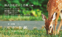 テンプレート名刺【animal photo-d087-zdk】