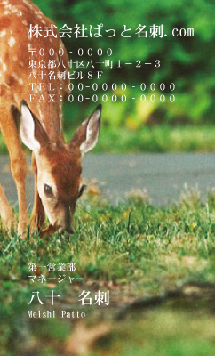テンプレート名刺【animal photo-d087-zdk】