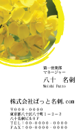 テンプレート名刺【plant-cole flower photo-d001-zyz】