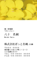 テンプレート名刺【plant-cole flower photo-d011-lm】