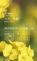 テンプレート名刺【plant-cole flower photo-d020-lm】