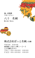テンプレート名刺【plant-tulip photo-d001-zyz】