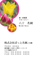 テンプレート名刺【plant-tulip photo-d002-zyz】
