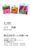テンプレート名刺【plant-tulip photo-d003-zyz】