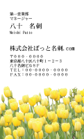 テンプレート名刺【plant-tulip photo-d004-zyz】