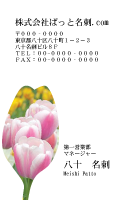テンプレート名刺【plant-tulip photo-d005-zyz】